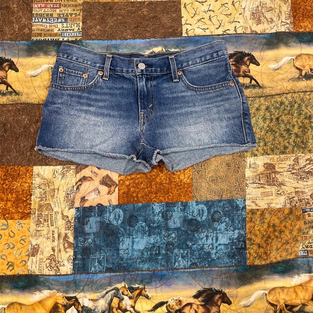 Womans jean shorts size 27